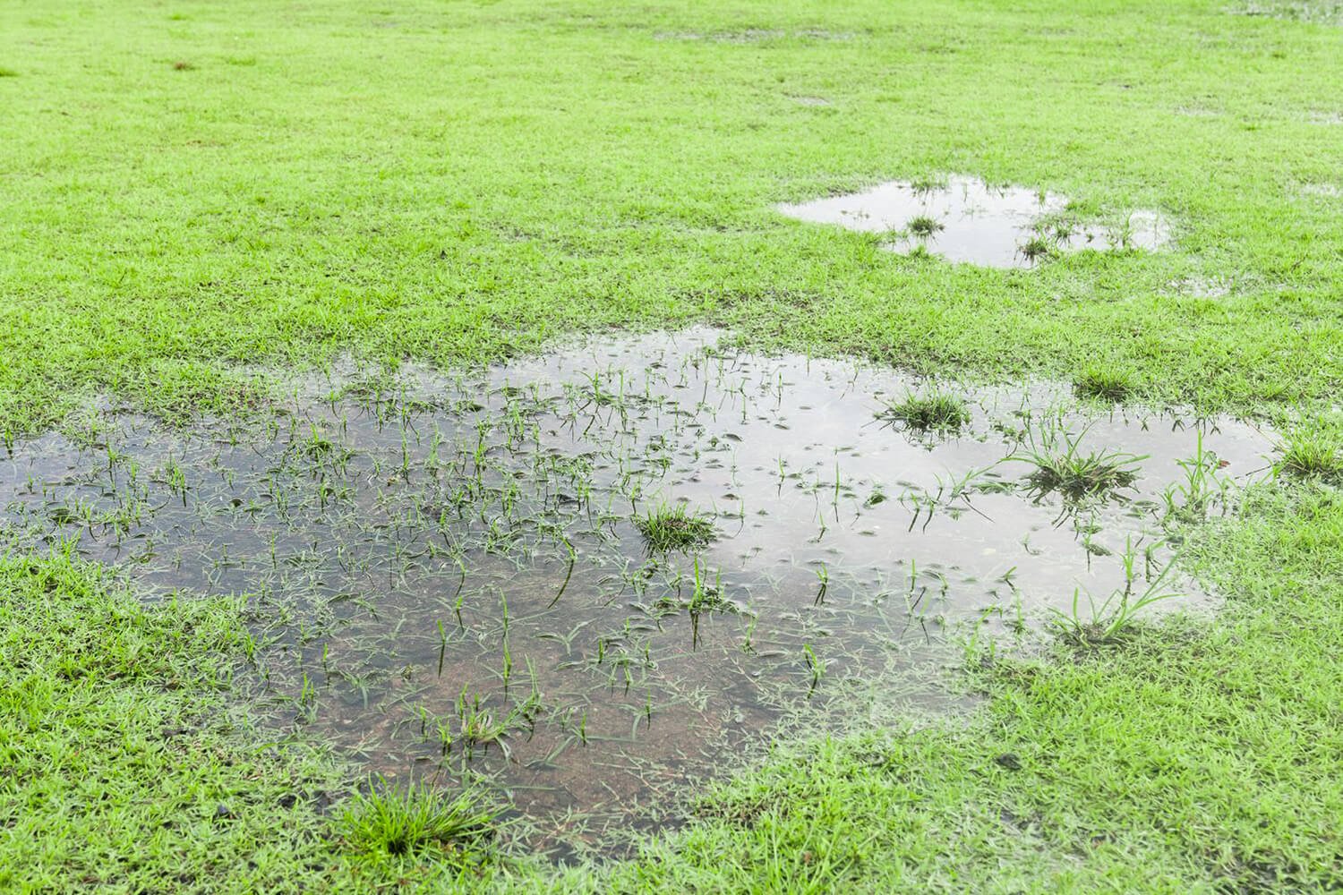 Still Water in Yard