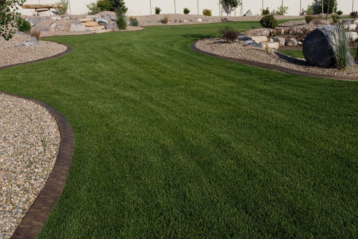 beautiful_backyard