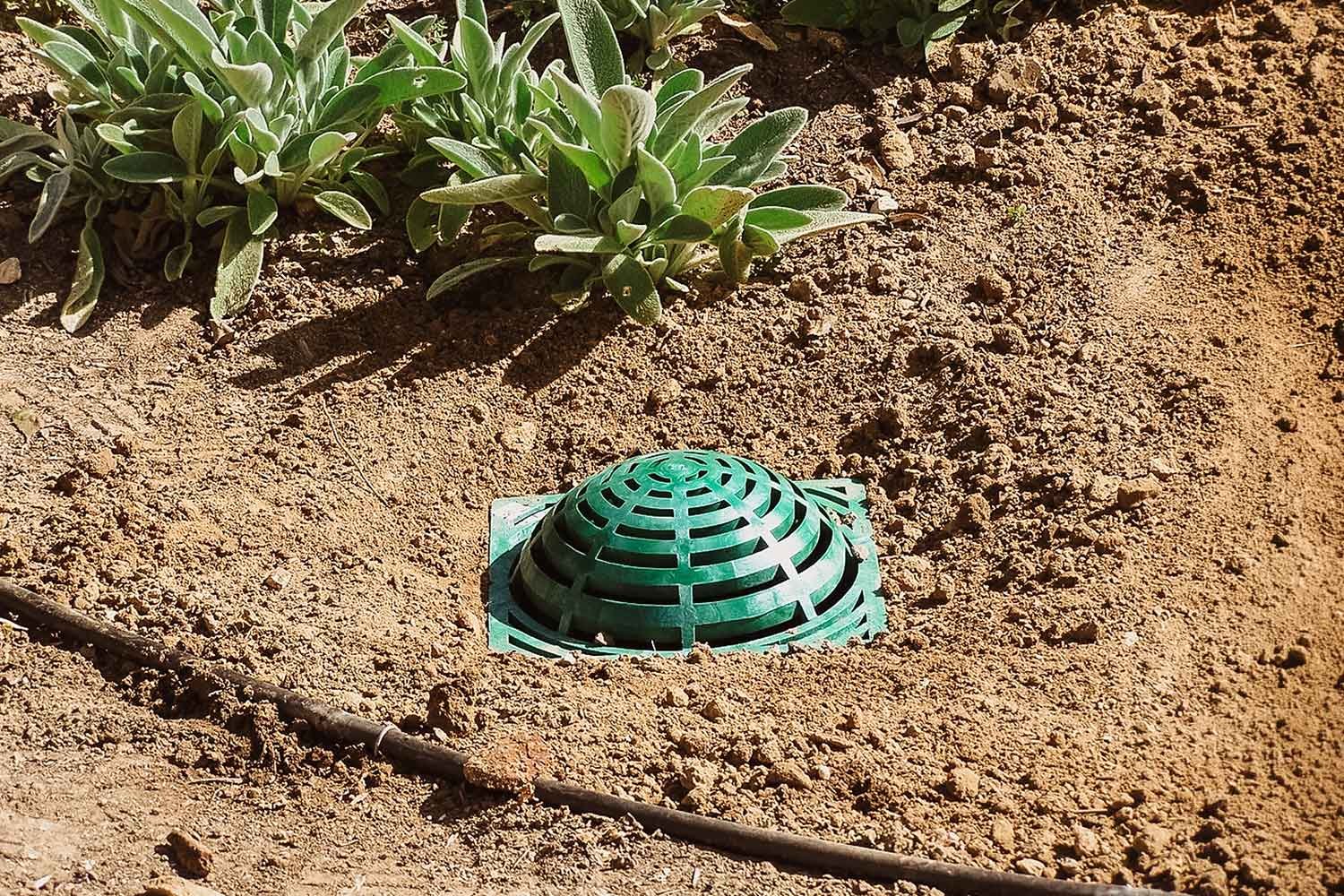 Catch Basin Sample